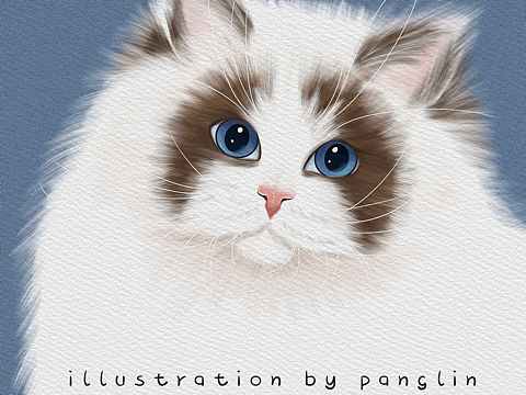 插畫(huà)作品貓咪大頭照（個(gè)人主頁(yè)-ZNTI3MTIzMDQ=） - 兒童插畫(huà) - 站酷設(shè)計(jì)師胖琳PANGLIN原創(chuàng)素材 - 站酷ZCOOL