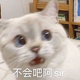 淇淇琬子的头像