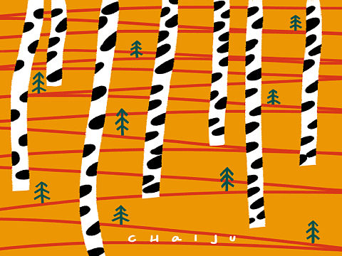 点线面与色彩的搭配