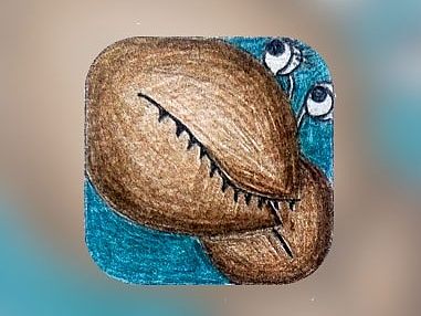 彩繪手機(jī)圖標(biāo)-動(dòng)物（個(gè)人主頁-ZMTM0ODM3MTI=） - 圖標(biāo) - 站酷設(shè)計(jì)師朵朵大海原創(chuàng)素材 - 站酷ZCOOL