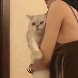 小张同学owo的头像