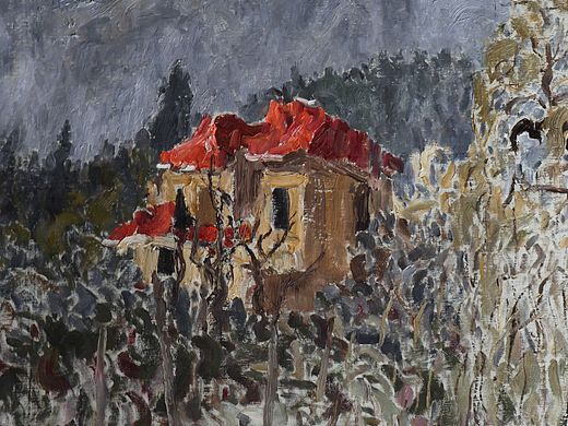 一位野生画家的作品