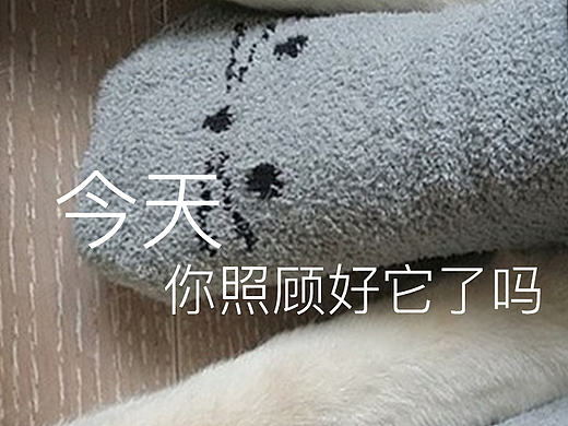 哈尼（個人主頁-ZMTgzNjE4OTI=） - APP界面 - 站酷設計師與你隨行原創(chuàng)素材 - 站酷ZCOOL