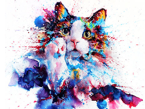 水彩下的猫青年...