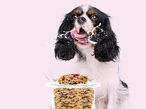 一組節(jié)日品牌宣傳圖（個人主頁-ZMjY0NTgyNzY=） - 電商 - 站酷設(shè)計師sakuraboy原創(chuàng)素材 - 站酷ZCOOL