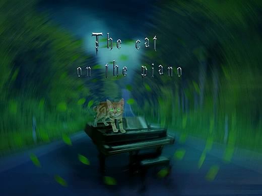 钢琴上的猫
