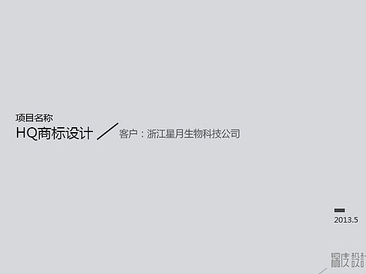 杭州星月生物科技公司HQ基因类品牌LOGO设计