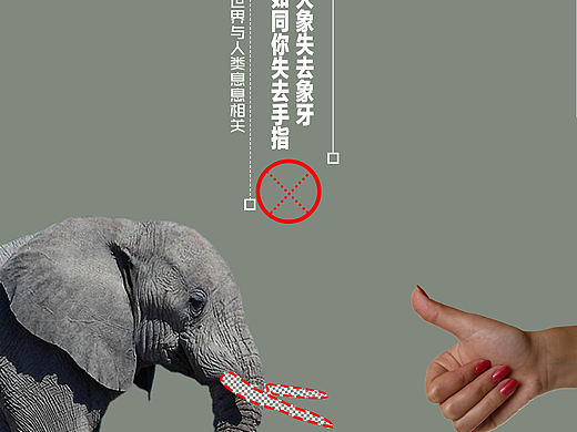 保护环境，爱护野生动物海报
