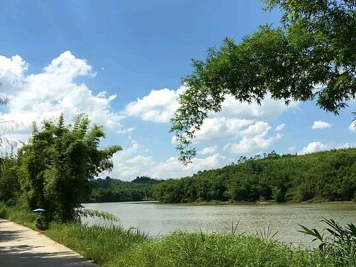 看着城市窗外美丽如画的风景，依然不及家乡的乡村小路的风景美