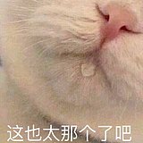 头头头头tou的头像