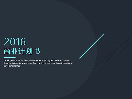 青蓝高端商业计划书5