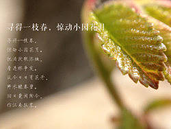 江南狂客（个人主页-ZMjA4MzQ3Mg==） - 风光摄影 - 站酷设计师artready原创素材 - 站酷ZCOOL