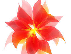 看见漂亮滴花花不忍心做了一下（个人主页-ZMTgwODI4NA==） - 其他UI - 站酷设计师caimengmei原创素材 - 站酷ZCOOL