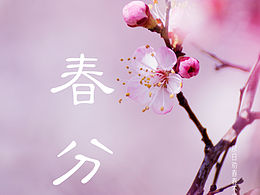 24节气之春分