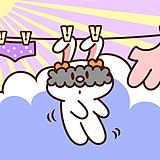 艾瑞斯兔奶奶的头像