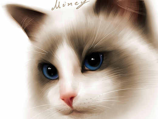 厚涂风格布偶猫