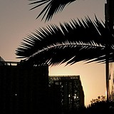 远山云涛的头像