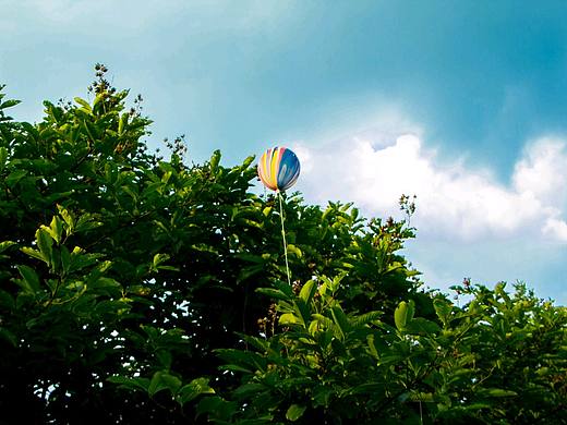 向往天空的气球:balloon: