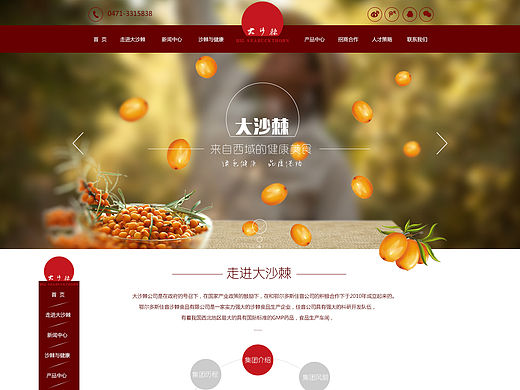食品网站