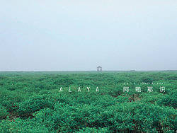 【A L A Y A · 阿 賴 耶 識(shí) 2 0 1 3】（個(gè)人主頁-ZMTg1NzcwNA==） - 風(fēng)光攝影 - 站酷設(shè)計(jì)師楊睿端原創(chuàng)素材 - 站酷ZCOOL
