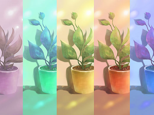 盆栽，彩色~