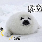 起名字不会引注意的头像