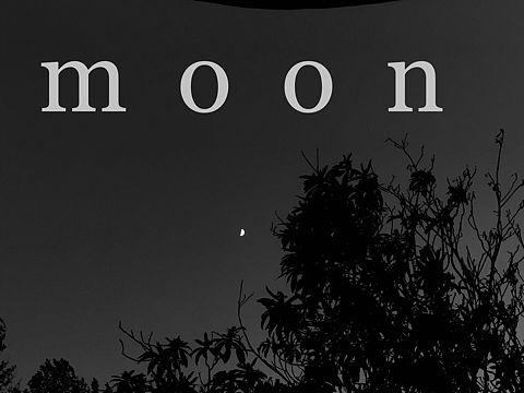 月亮🌙