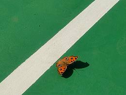 在大学遇见的小治愈