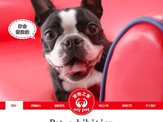 宠物网站首页（个人主页-ZMTQwOTQwMzY=） - 其他网页 - 站酷设计师nemesia原创素材 - 站酷ZCOOL