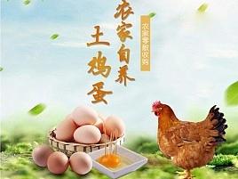 土鸡蛋详情页模板