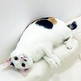 李大猫m的头像