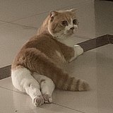 QsongZ的头像