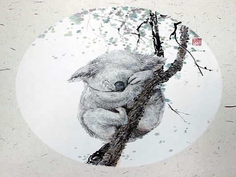 考拉系列