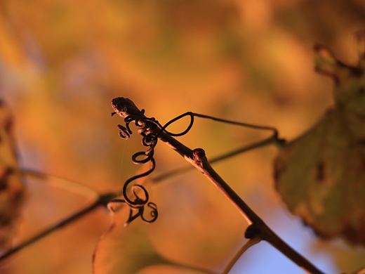 渐微凉（个人主页-ZMzc0NTQzMDA=） - 风光摄影 - 站酷设计师千寻者原创素材 - 站酷ZCOOL