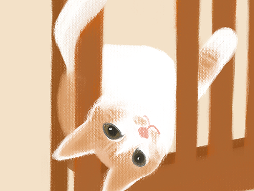 习作—猫