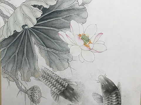 工笔荷花