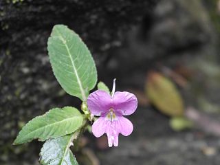 【旅行摄影】-随手拍