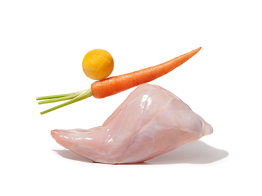 宠物食材-米其林