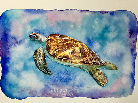 海龟（个人主页-ZMzAzMjcwMzI=） - 绘画 - 站酷设计师路加水彩原创素材 - 站酷ZCOOL