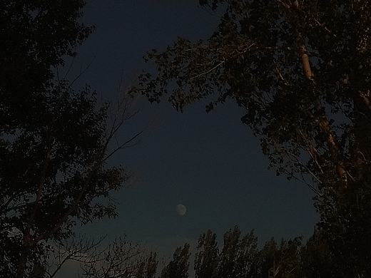 星星跟月亮?xí)幸惶熳不桀^（個人主頁-ZNDMyNDQxOTI=） - 其他攝影 - 站酷設(shè)計師ALL419原創(chuàng)素材 - 站酷ZCOOL