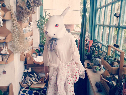 小青岛—小情调