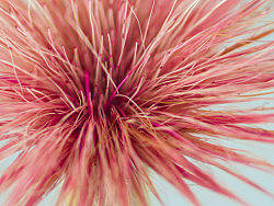 妙笔生花（个人主页-ZMjE2MDAyOA==） - 产品摄影 - 站酷设计师RyanShao原创素材 - 站酷ZCOOL