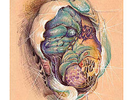 我不想输入标题