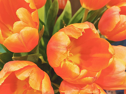 满满当当的（个人主页-ZNDkyNjY5NTY=） - 风光摄影 - 站酷设计师蒋二亿原创素材 - 站酷ZCOOL