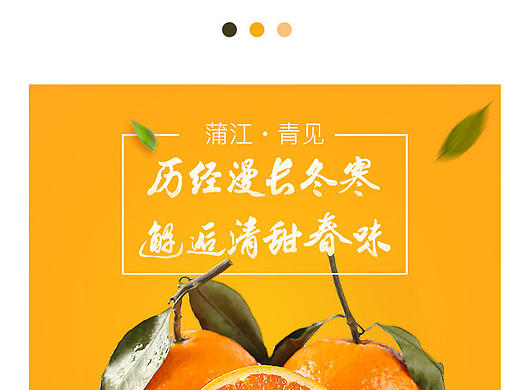 水果专题页-青见 网页