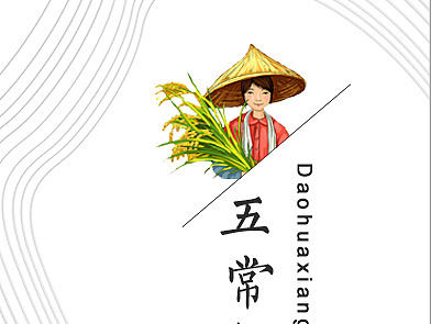黑龙江五常稻花香大米包装设计