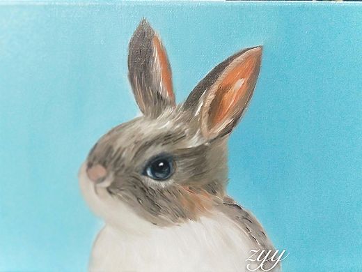 小灰兔