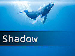 Shadow（个人主页-ZMTUzNjUyOA==） - 主题/皮肤 - 站酷设计师dj112原创素材 - 站酷ZCOOL