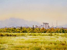 风景