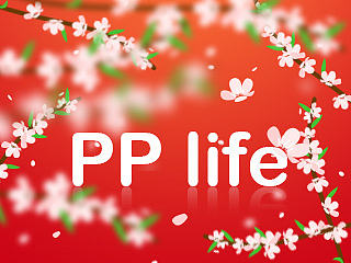 PP租车3.0引导页（个人主页-ZNzUzNTcwOA==） - APP界面 - 站酷设计师扶摇直上_F1原创素材 - 站酷ZCOOL